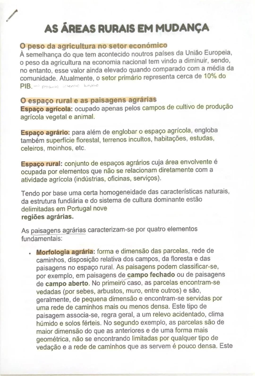 # AS ÁREAS RURAIS EM MUDANÇA

O peso da agricultura no setor económico
À semelhança do que tem acontecido noutros países da União Europeia,

