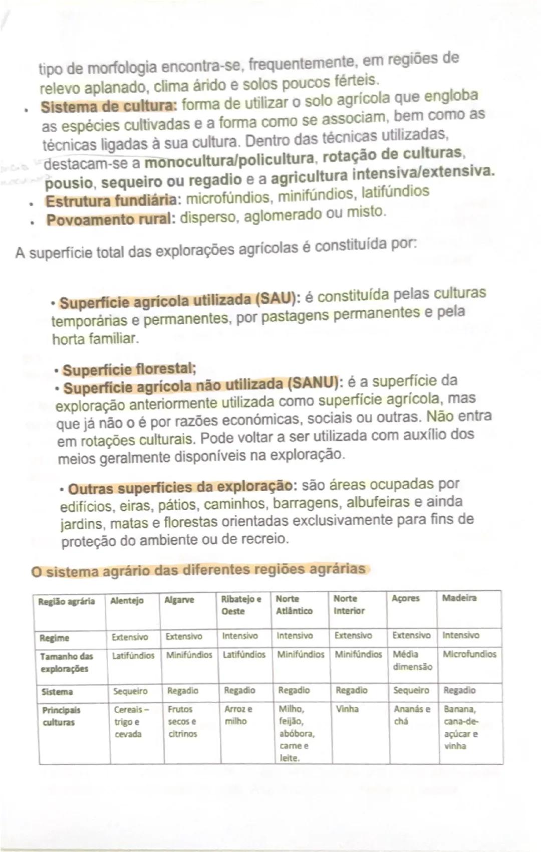 # AS ÁREAS RURAIS EM MUDANÇA

O peso da agricultura no setor económico
À semelhança do que tem acontecido noutros países da União Europeia,
