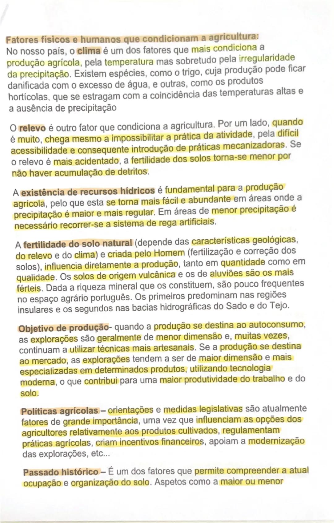 # AS ÁREAS RURAIS EM MUDANÇA

O peso da agricultura no setor económico
À semelhança do que tem acontecido noutros países da União Europeia,
