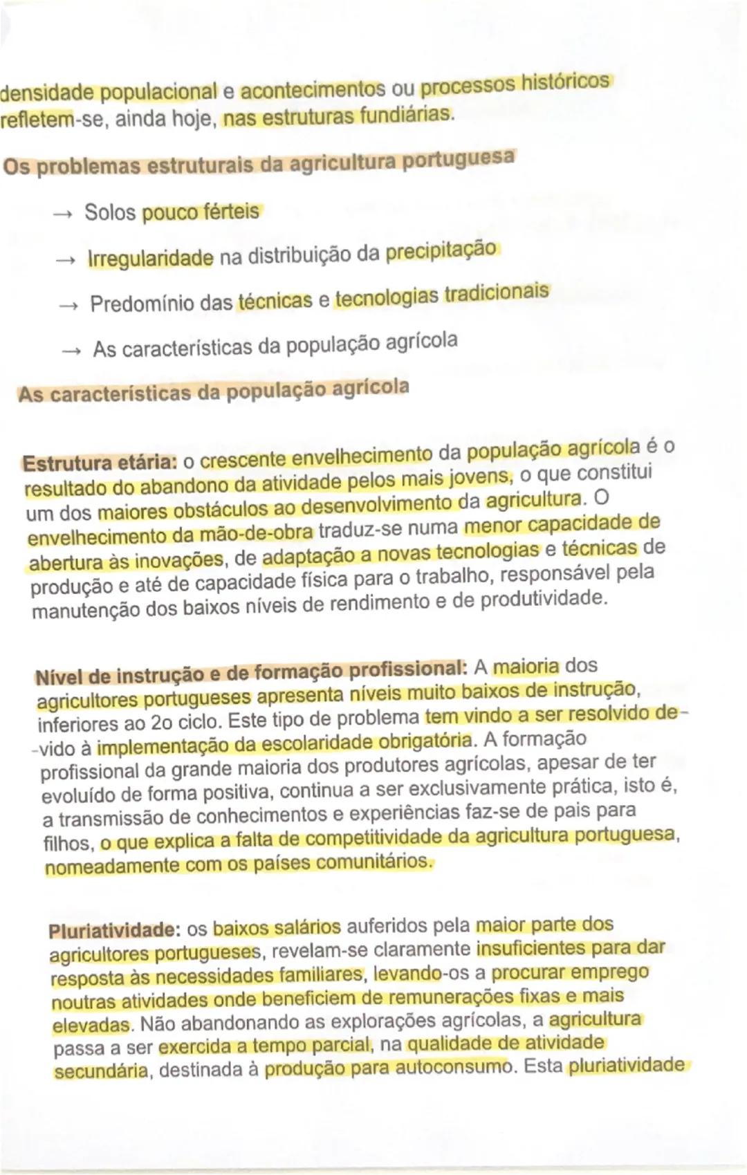 # AS ÁREAS RURAIS EM MUDANÇA

O peso da agricultura no setor económico
À semelhança do que tem acontecido noutros países da União Europeia,
