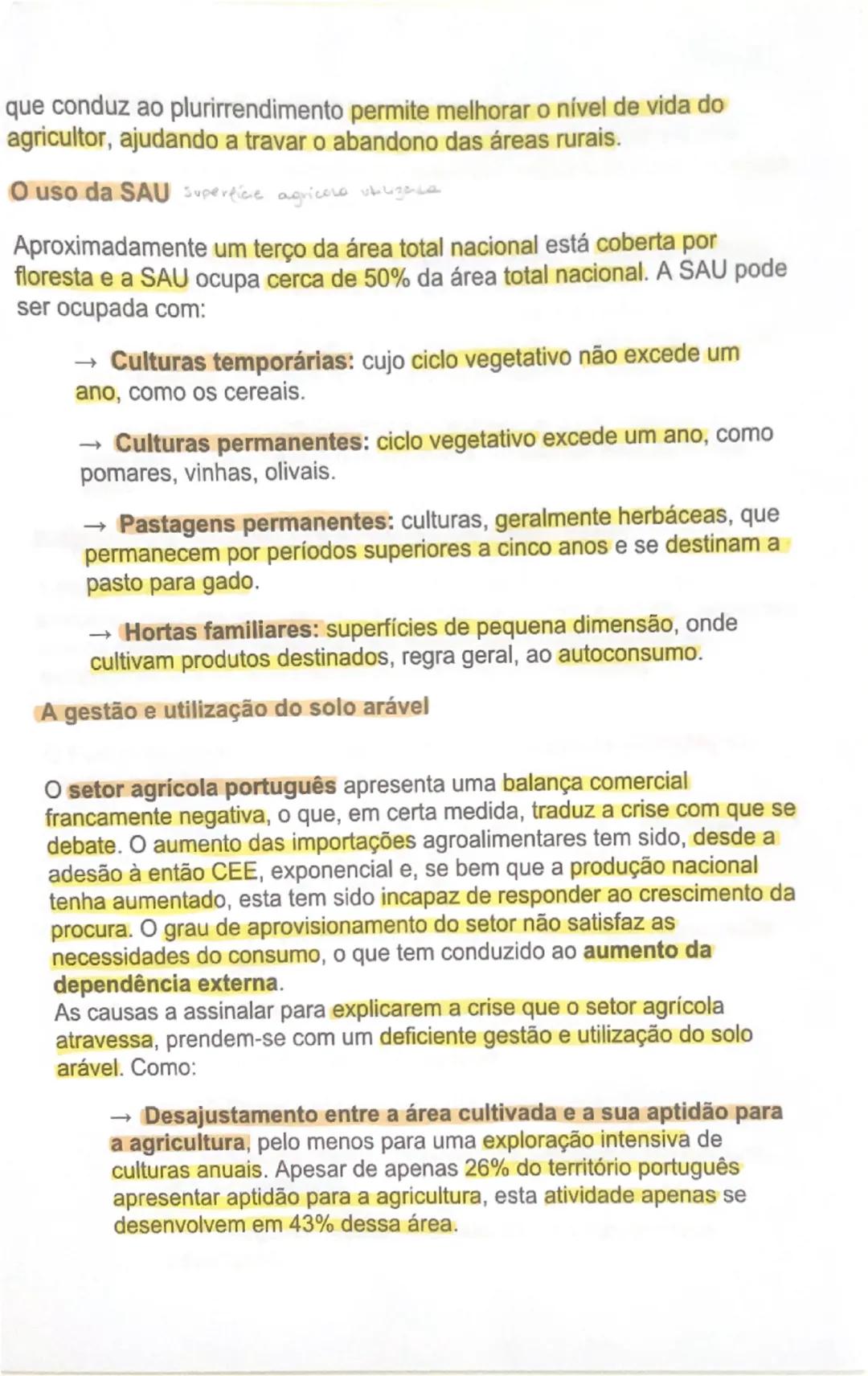 # AS ÁREAS RURAIS EM MUDANÇA

O peso da agricultura no setor económico
À semelhança do que tem acontecido noutros países da União Europeia,
