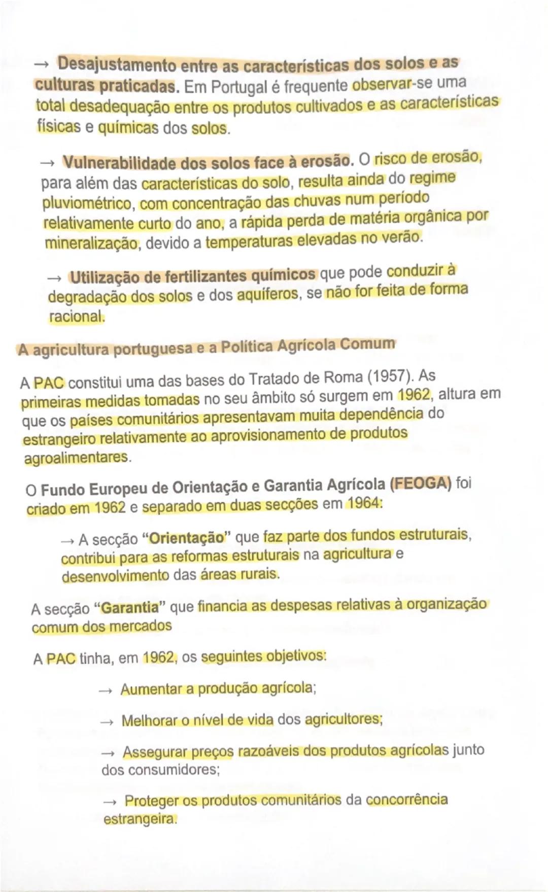 # AS ÁREAS RURAIS EM MUDANÇA

O peso da agricultura no setor económico
À semelhança do que tem acontecido noutros países da União Europeia,
