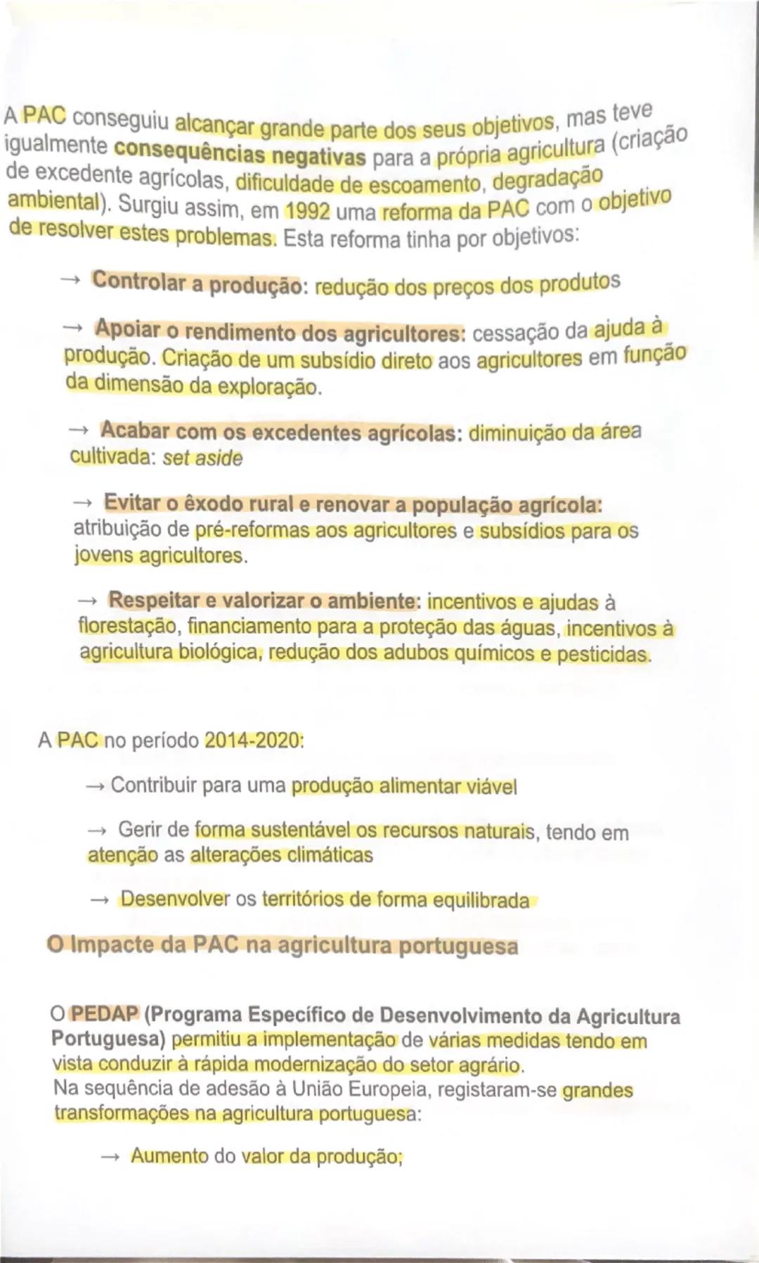 # AS ÁREAS RURAIS EM MUDANÇA

O peso da agricultura no setor económico
À semelhança do que tem acontecido noutros países da União Europeia,
