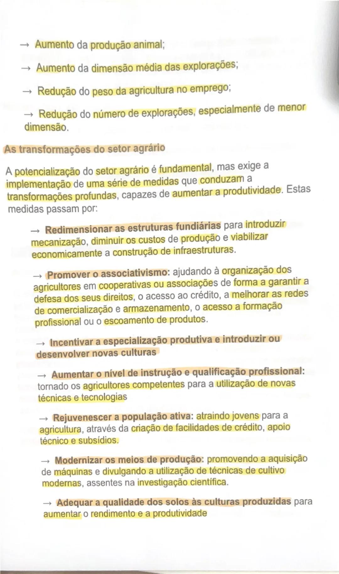 # AS ÁREAS RURAIS EM MUDANÇA

O peso da agricultura no setor económico
À semelhança do que tem acontecido noutros países da União Europeia,
