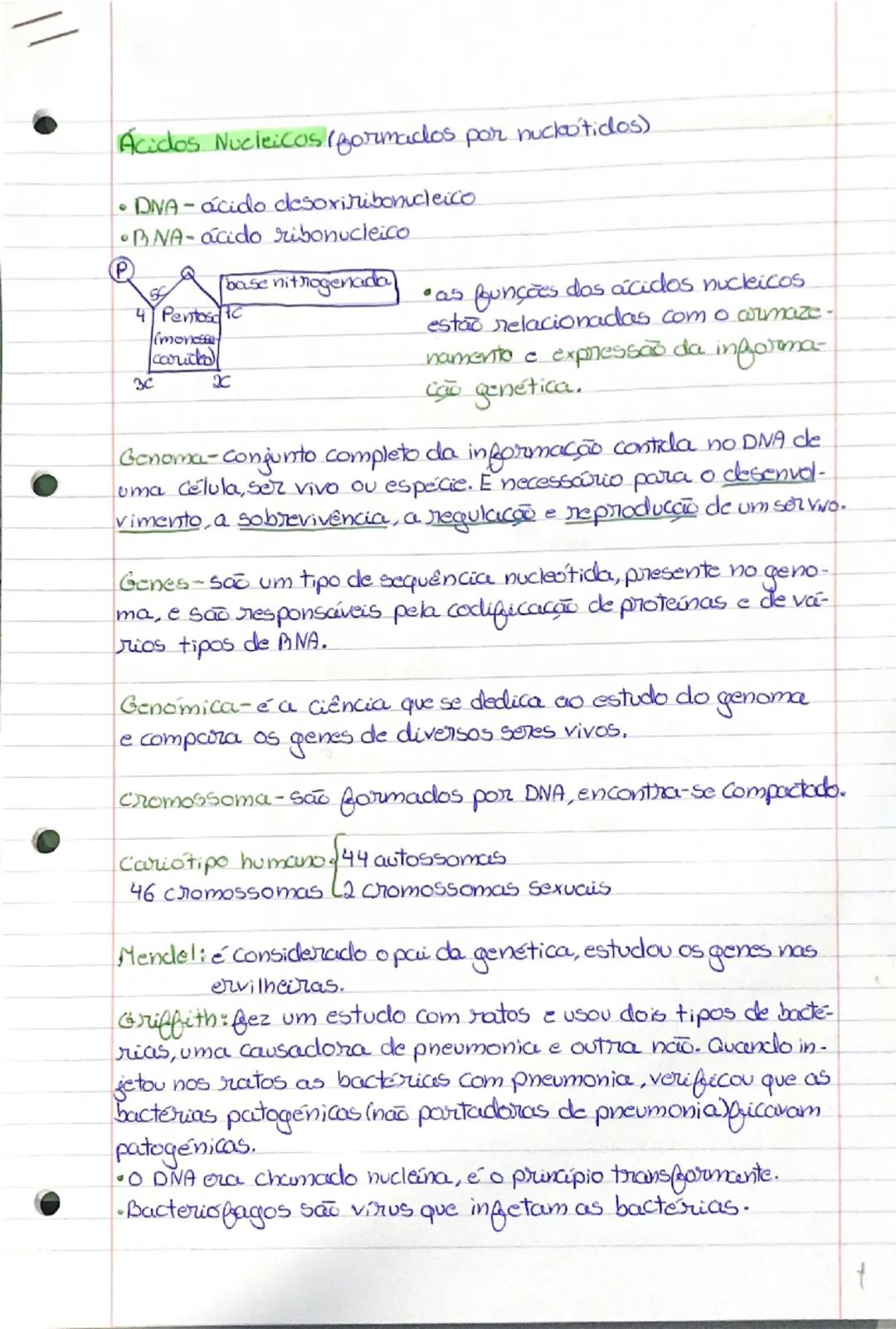 --- OCR Start ---
Ácidos Nucleicos (formados por nuckotidos)
•DIVA- ácido desoxiribonucleico
•BNA-ácido ribonucleico
P base nitrogenada
4 Pe