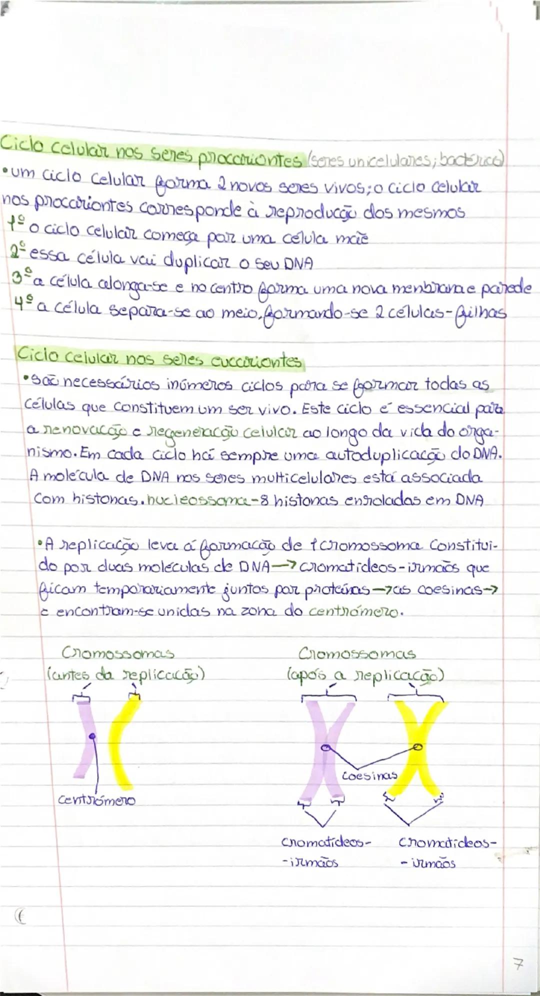 --- OCR Start ---
Ácidos Nucleicos (formados por nuckotidos)
•DIVA- ácido desoxiribonucleico
•BNA-ácido ribonucleico
P base nitrogenada
4 Pe