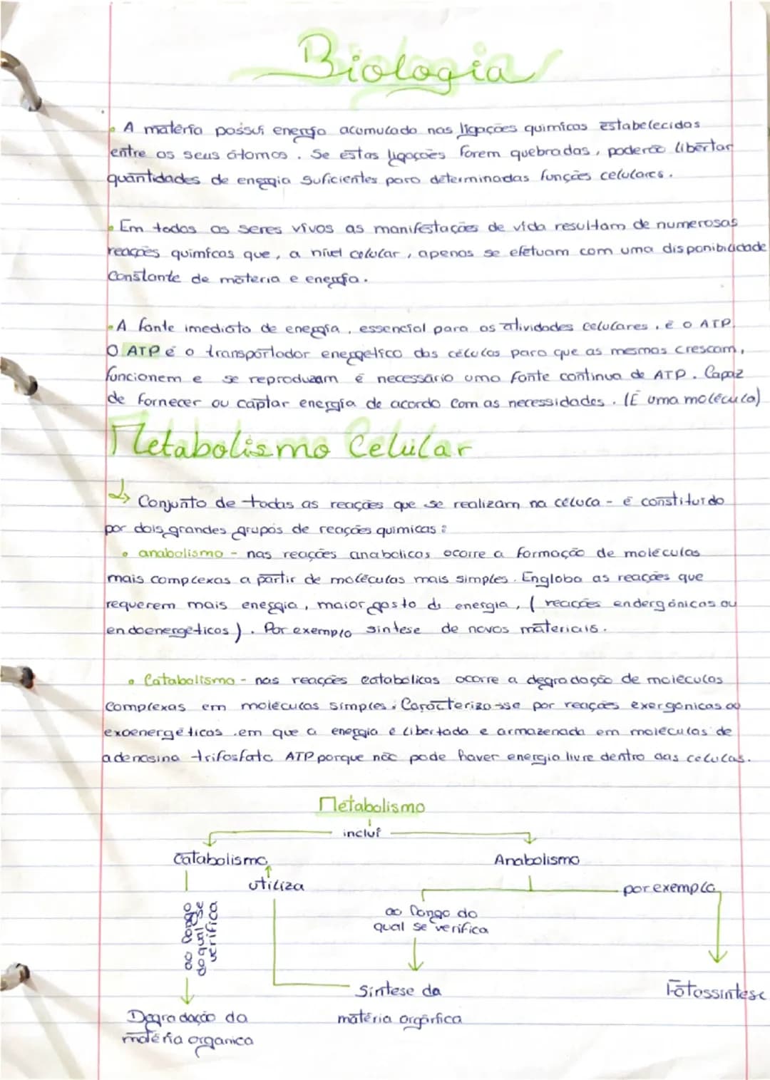 # Biologia

- A materia possui energia acumulado nas ligações quimicas estabelecidas
entre os seus átomos. Se estas ligações forem quebradas