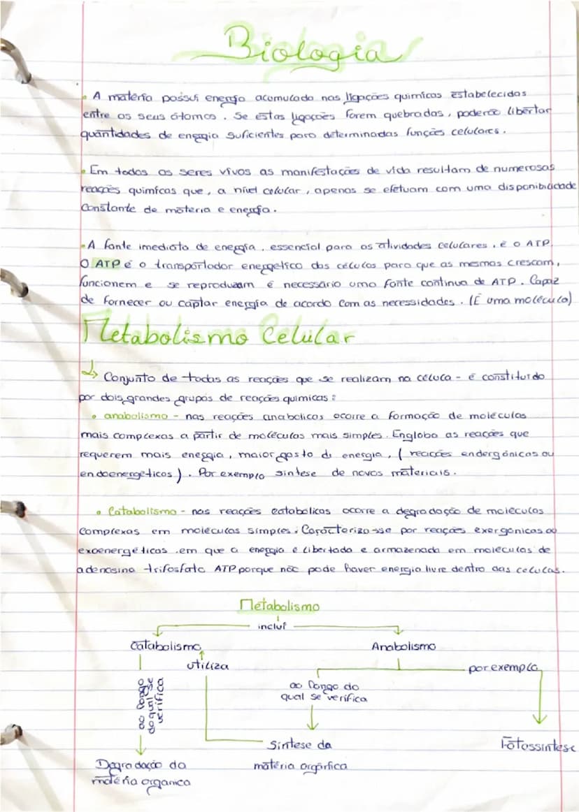 # Biologia

- A materia possui energia acumulado nas ligações quimicas estabelecidas
entre os seus átomos. Se estas ligações forem quebradas