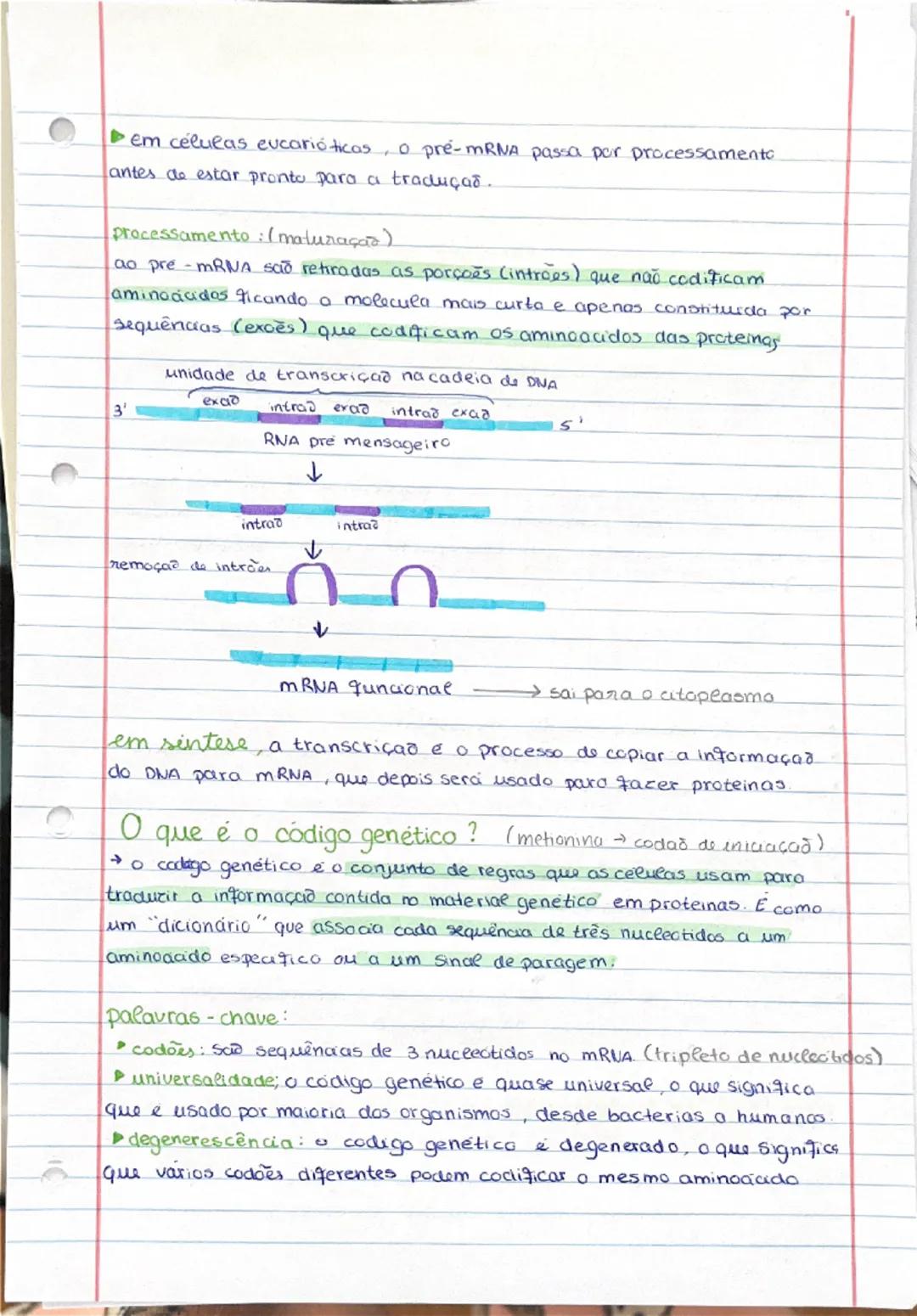 # base pirimidica

OH

OH

6

10

C

-P-O-C

0
H₂

3

OH

3'

0

0

5'

3

st

que

estc

exi

diq

CO

ge

no

0

a

0

d
A Formaçað de lig
