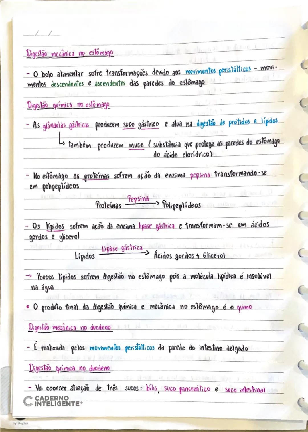 - Saúde individual e comunitária-

-Saúde Bem-estar físico, mental e social

-Qualidade de vida Como cada pessoa avalia a posição em que se 