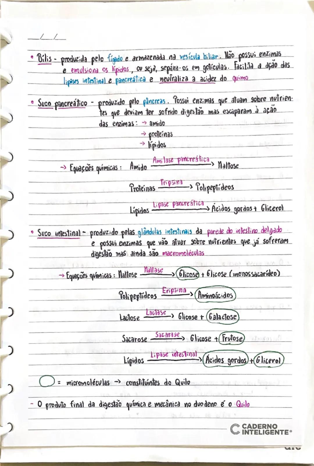 - Saúde individual e comunitária-

-Saúde Bem-estar físico, mental e social

-Qualidade de vida Como cada pessoa avalia a posição em que se 