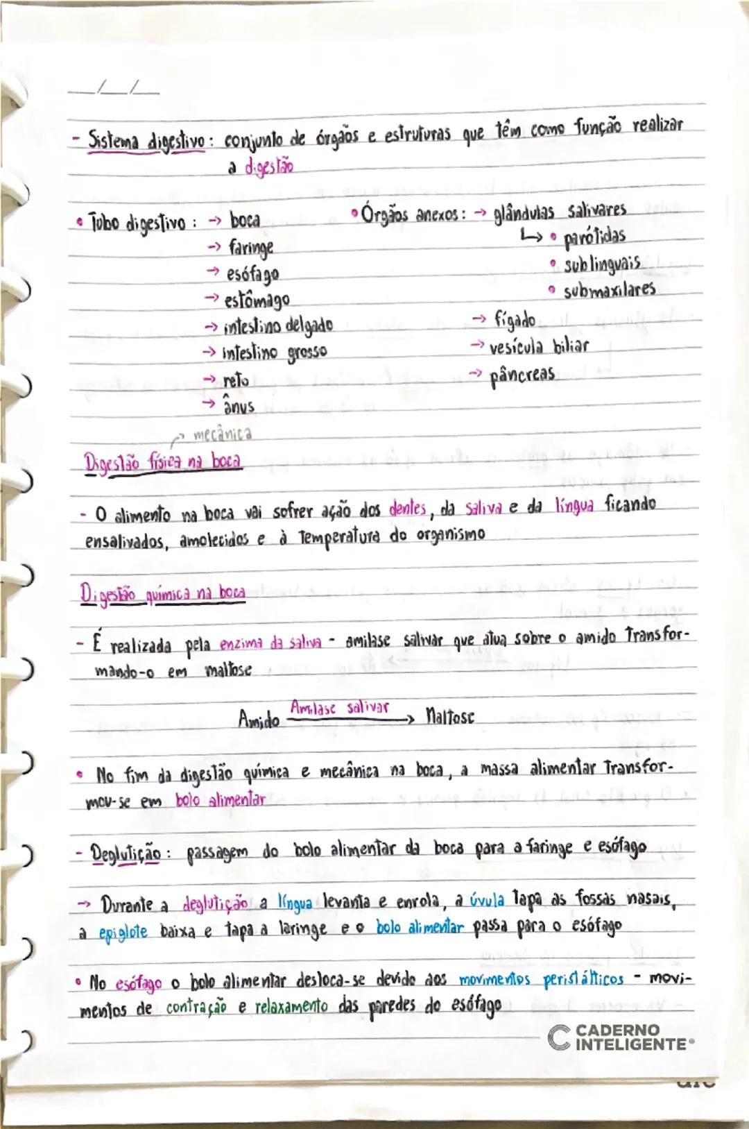 - Saúde individual e comunitária-

-Saúde Bem-estar físico, mental e social

-Qualidade de vida Como cada pessoa avalia a posição em que se 