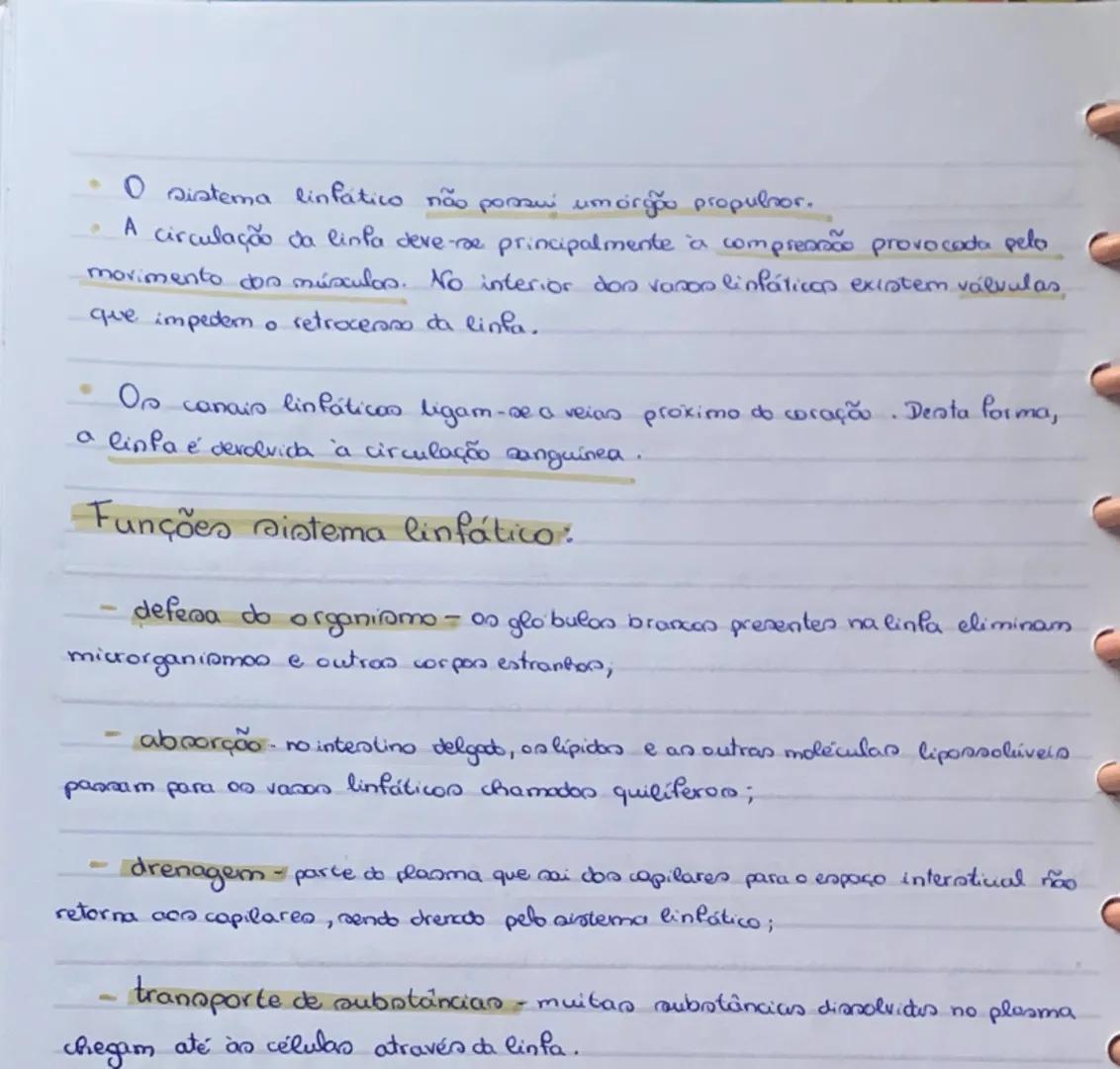 # Sistema linfático

Nos capilares sanguineon ocorre a maica de plasma e de glóbulos brancos para
o meio intersticial ( espaços, de reduzida