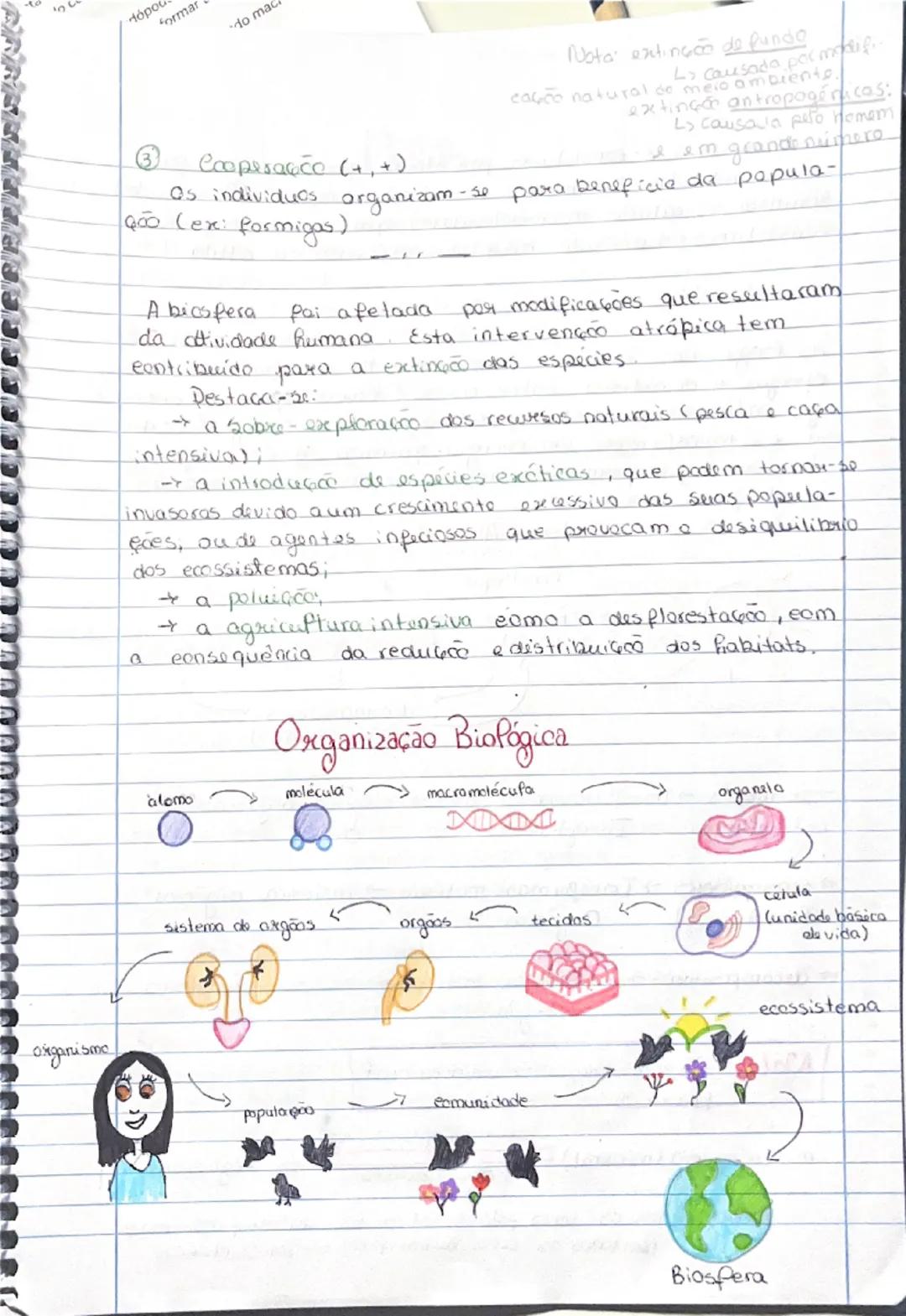 # Biologia

0

10 ano

① Diversidade Biofógica

Termos:

Biodiversidade: Variedade de seres vivos que existem
na Terra e as suas interações.
