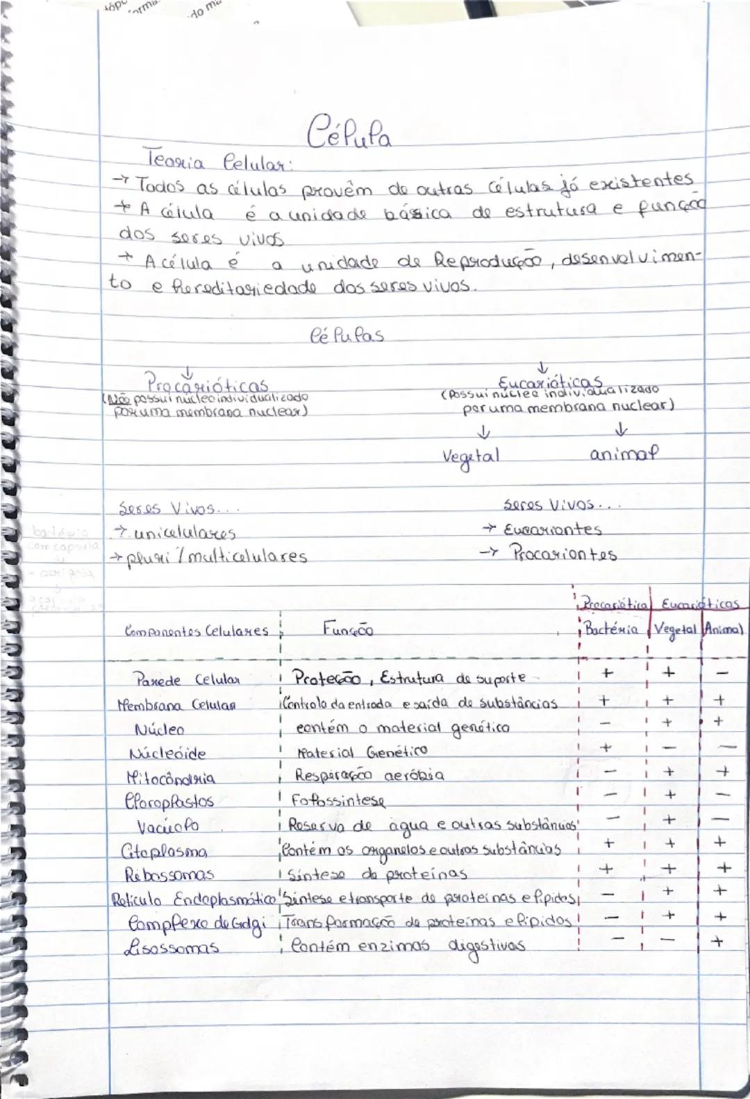 # Biologia

0

10 ano

① Diversidade Biofógica

Termos:

Biodiversidade: Variedade de seres vivos que existem
na Terra e as suas interações.