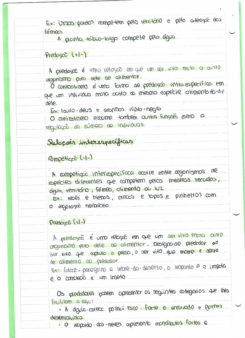 --- OCR Start ---
CIENCIAS
ciências
Interações estabelecidas entre seres vivos
No natureza existe umo constante interação entre os seres
viv