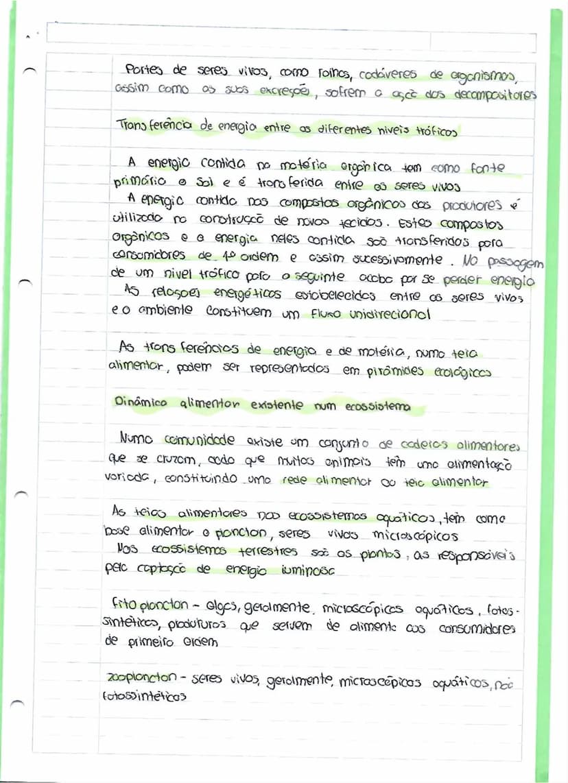 --- OCR Start ---
CIENCIAS
ciências
Interações estabelecidas entre seres vivos
No natureza existe umo constante interação entre os seres
viv