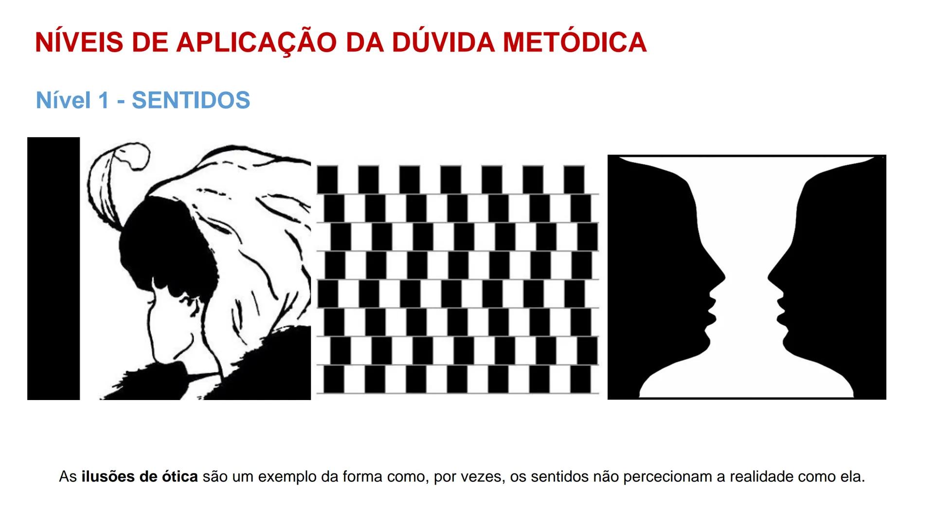 Filosofia - 11º Ano
Ano Letivo 2023/2024

DÚVIDA

METÓDICA

Sara Raposo
Carlos Pires

Prof. Daniela Morais
Análise Comparativa de duas Teori