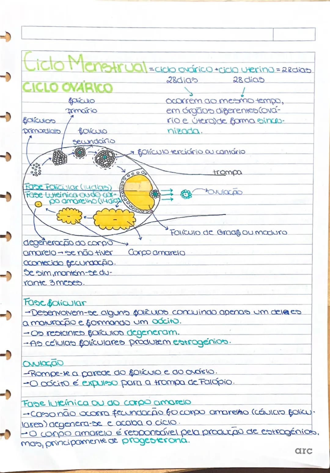 SISTEMA REPRODUTOR FEMIN

Colo do útero
ou cervix

Clitoris-estrutura
de grande sen-
sibilidade situada
na união dos pe-
quenos lábios.

DOG