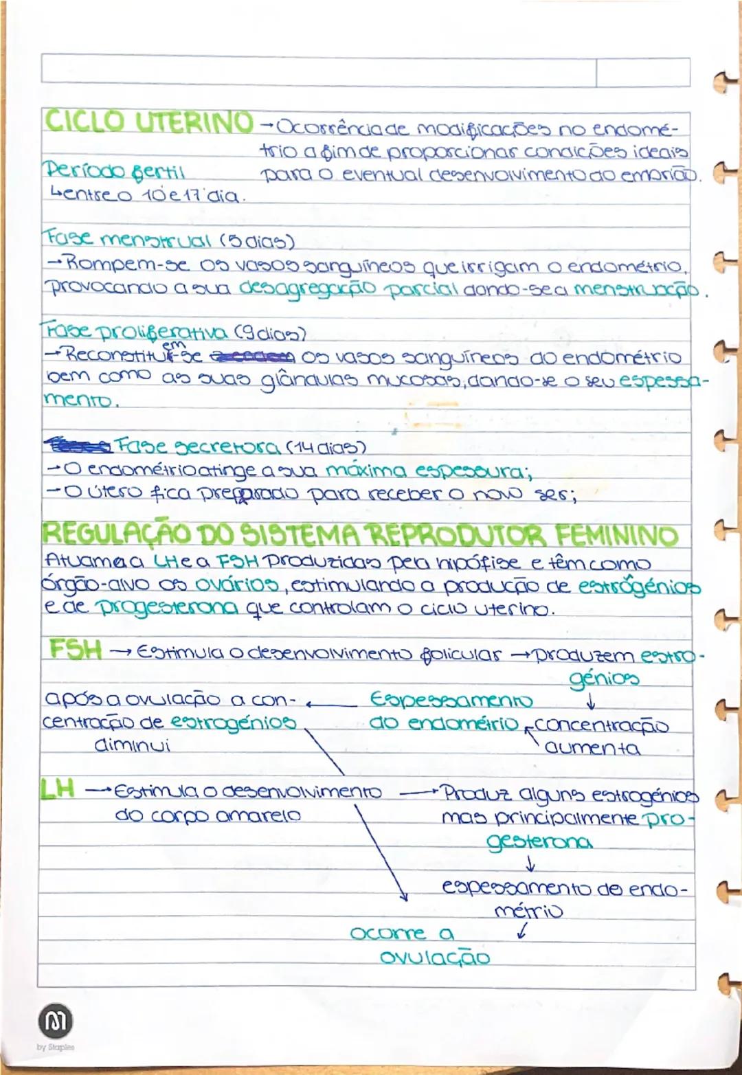 SISTEMA REPRODUTOR FEMIN

Colo do útero
ou cervix

Clitoris-estrutura
de grande sen-
sibilidade situada
na união dos pe-
quenos lábios.

DOG