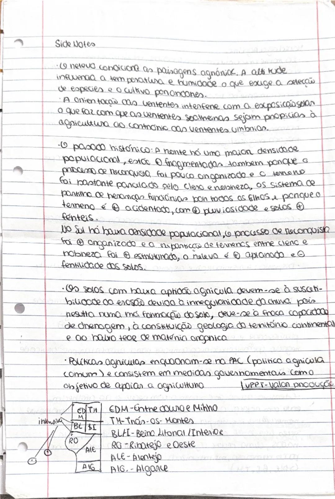 RAA: povoamento misto, cultivo intensivo, precipitação alta
solo vulcânico, baixa insolação, campos pequena/média
dimensão, irregulares e ve