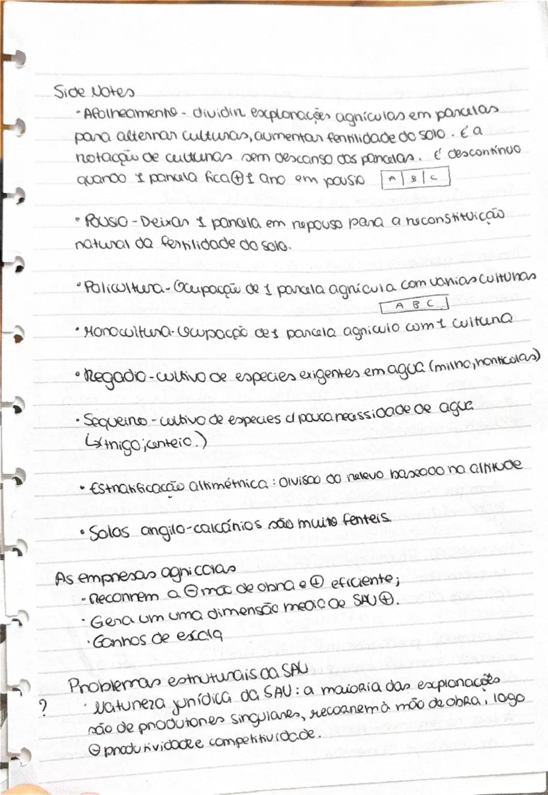 RAA: povoamento misto, cultivo intensivo, precipitação alta
solo vulcânico, baixa insolação, campos pequena/média
dimensão, irregulares e ve