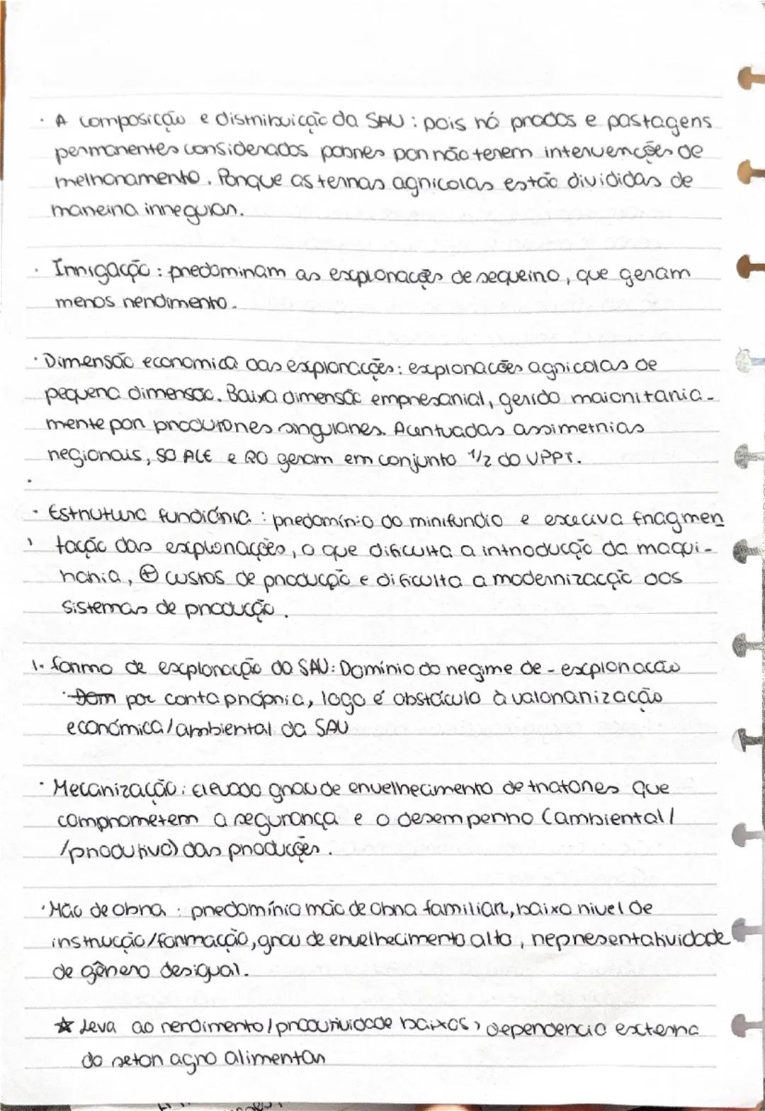 RAA: povoamento misto, cultivo intensivo, precipitação alta
solo vulcânico, baixa insolação, campos pequena/média
dimensão, irregulares e ve