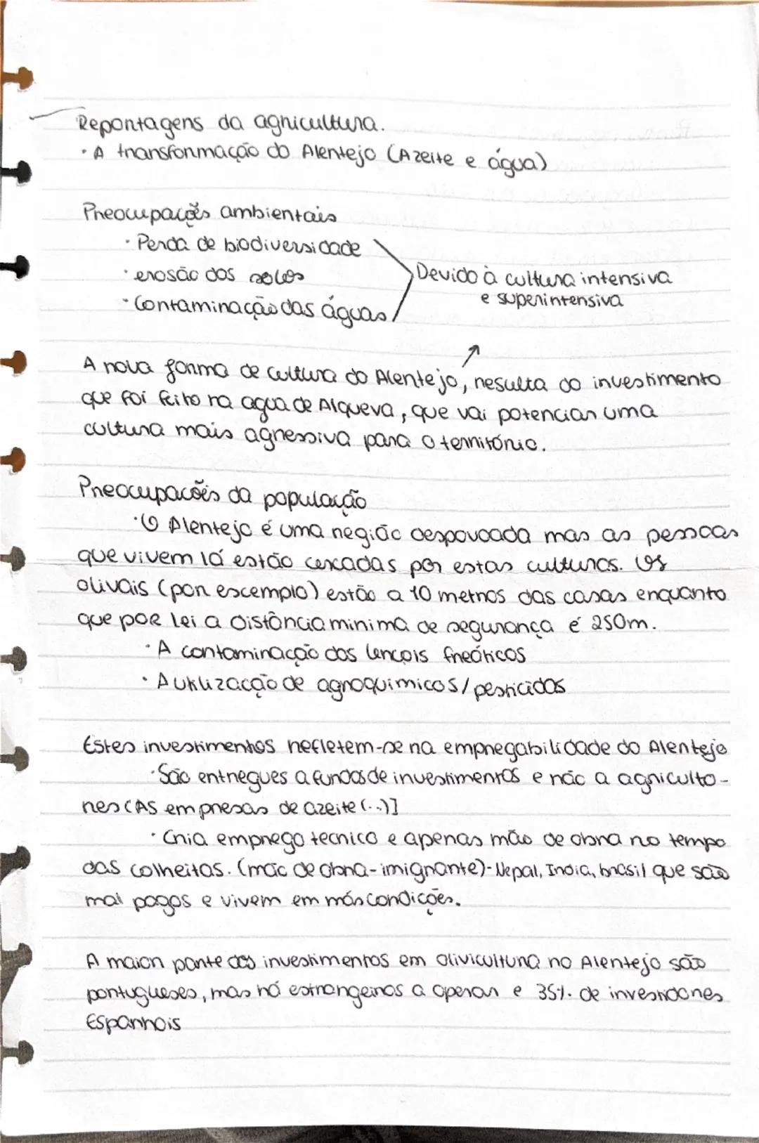 RAA: povoamento misto, cultivo intensivo, precipitação alta
solo vulcânico, baixa insolação, campos pequena/média
dimensão, irregulares e ve