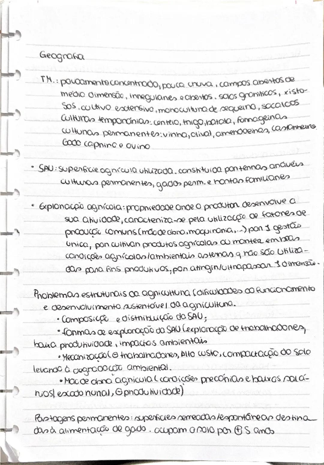 RAA: povoamento misto, cultivo intensivo, precipitação alta
solo vulcânico, baixa insolação, campos pequena/média
dimensão, irregulares e ve