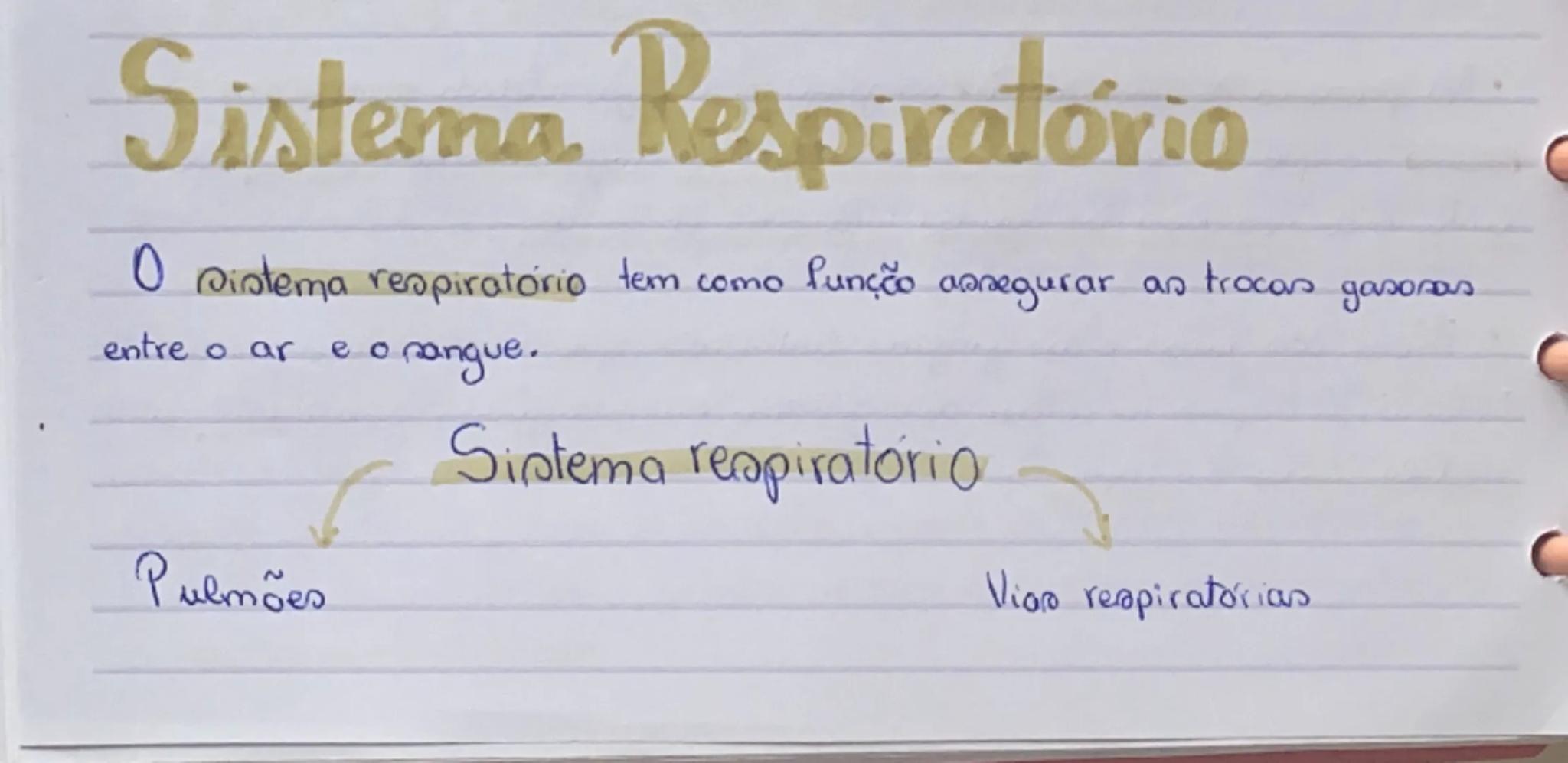 # Sistema Respiratório

O sistema respiratório tem como função assegurar as trocas gasosas
entre o ar e o sangue.

Sistema respiratório

Pul