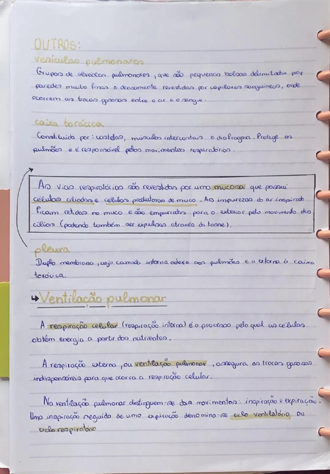 # Sistema Respiratório

O sistema respiratório tem como função assegurar as trocas gasosas
entre o ar e o sangue.

Sistema respiratório

Pul