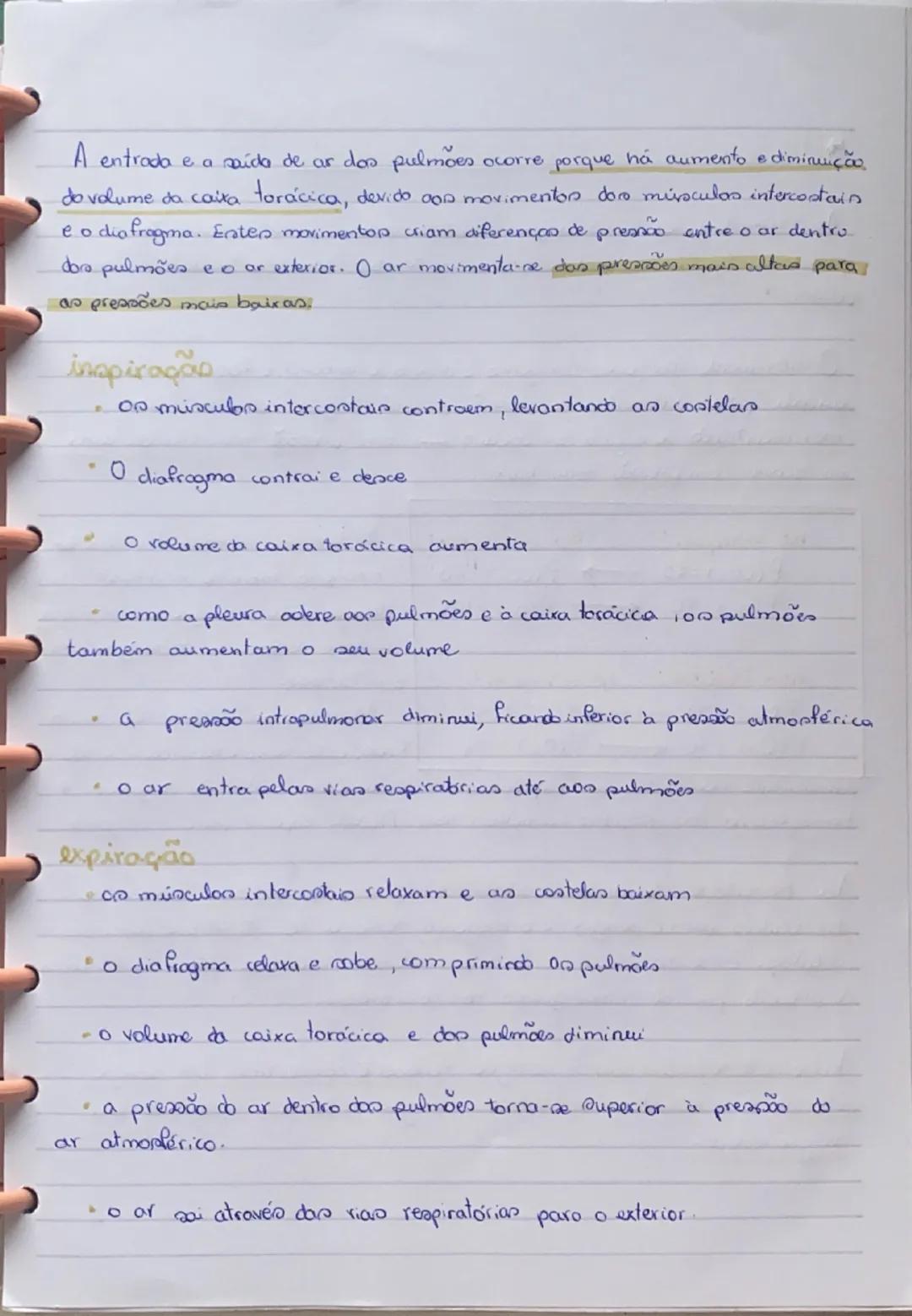 # Sistema Respiratório

O sistema respiratório tem como função assegurar as trocas gasosas
entre o ar e o sangue.

Sistema respiratório

Pul