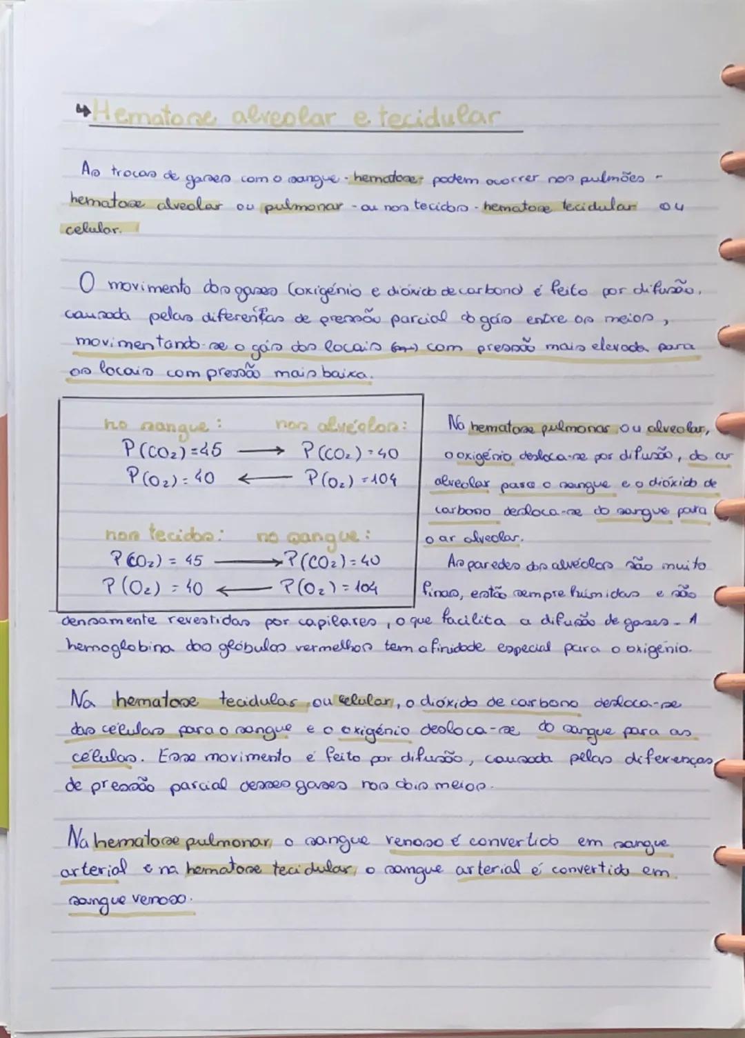 # Sistema Respiratório

O sistema respiratório tem como função assegurar as trocas gasosas
entre o ar e o sangue.

Sistema respiratório

Pul