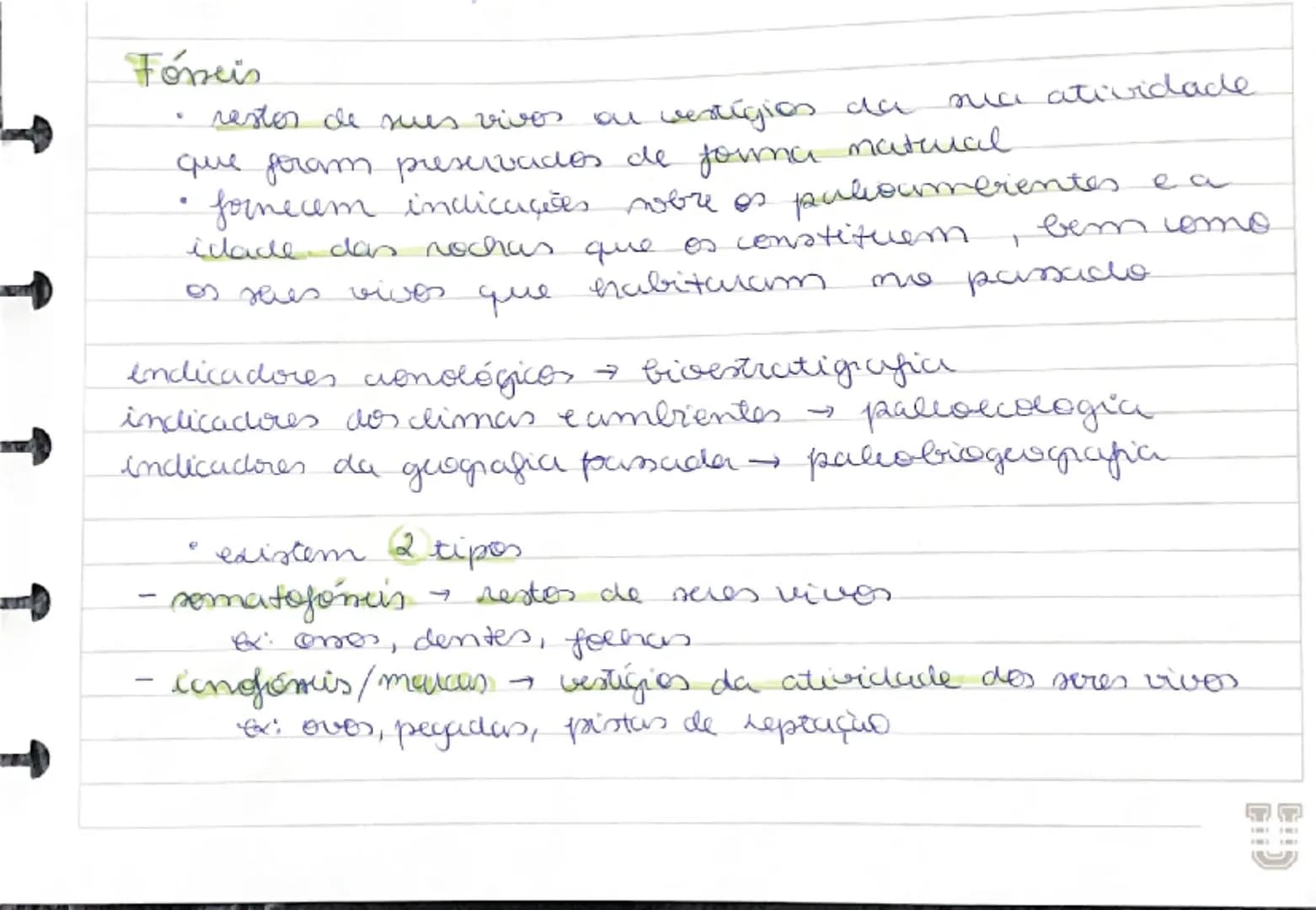 # Fóseis

- restos de seres vivos ou vestígios da sua atividade
que foram preservados de forma natural
- fornecem indicações sobre os paleoa