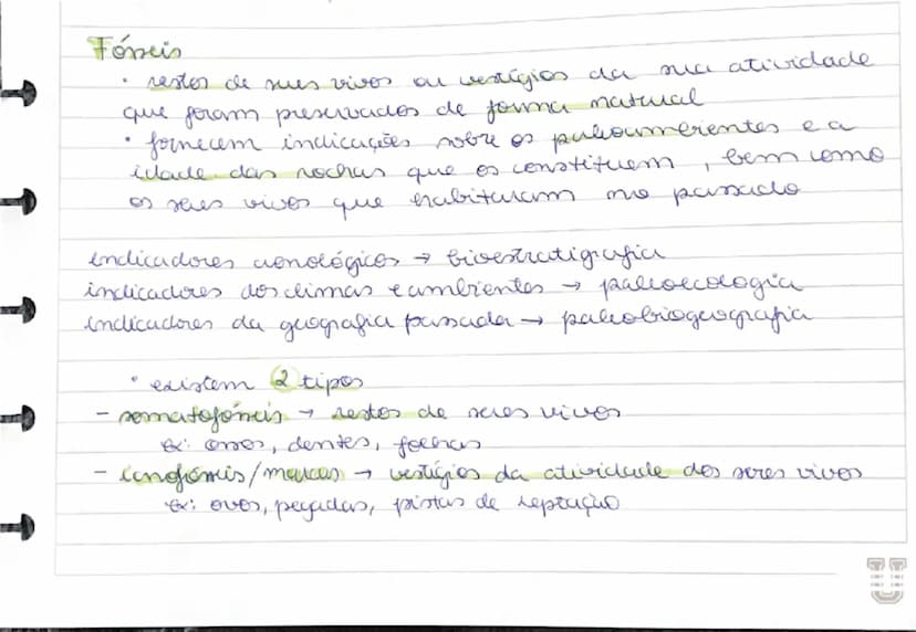 # Fóseis

- restos de seres vivos ou vestígios da sua atividade
que foram preservados de forma natural
- fornecem indicações sobre os paleoa