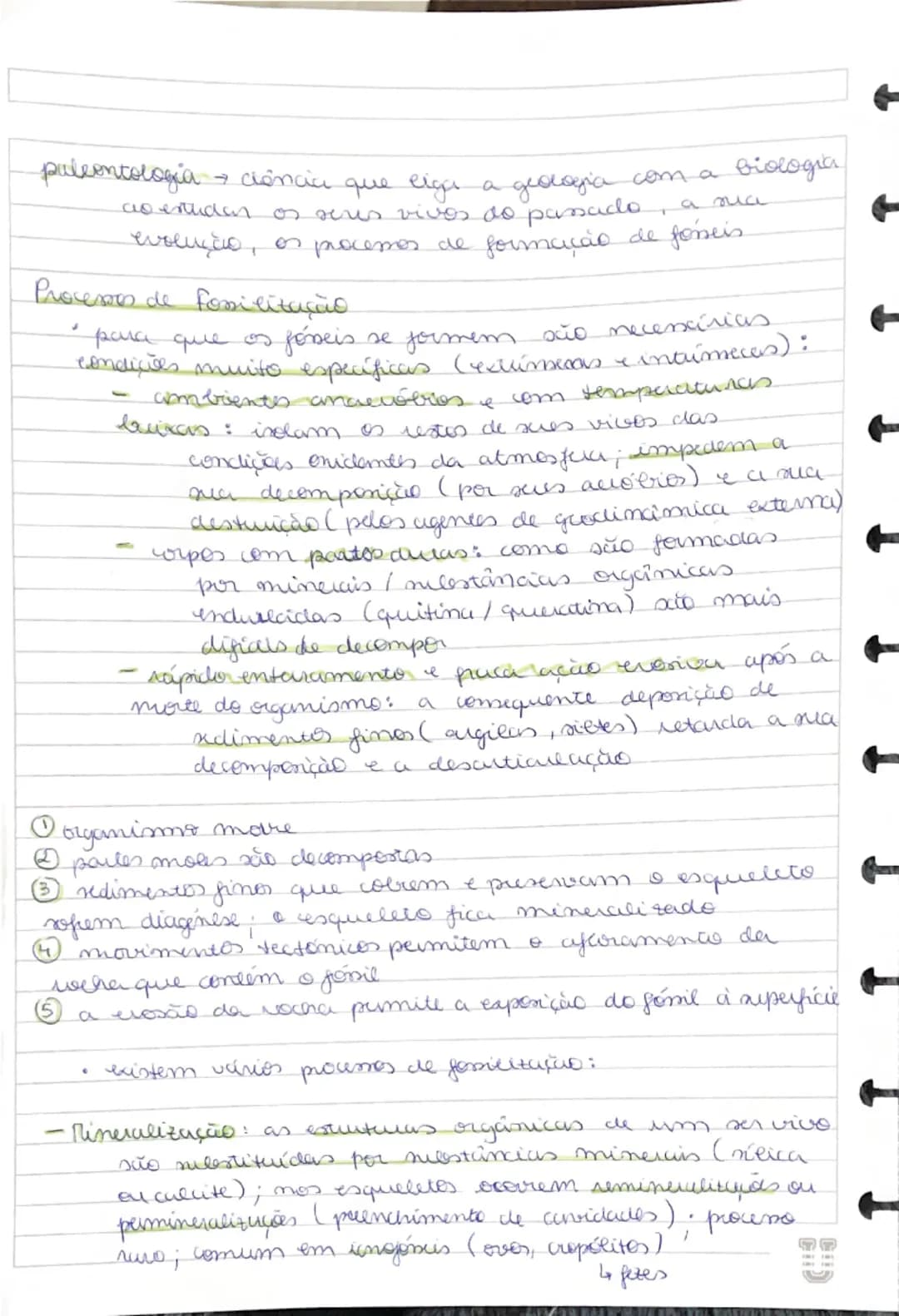 # Fóseis

- restos de seres vivos ou vestígios da sua atividade
que foram preservados de forma natural
- fornecem indicações sobre os paleoa