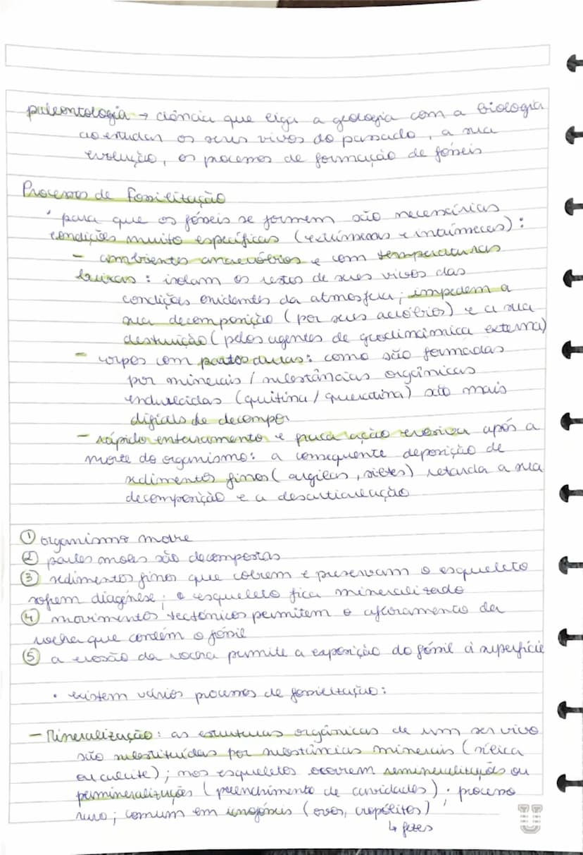 # Fóseis

- restos de seres vivos ou vestígios da sua atividade
que foram preservados de forma natural
- fornecem indicações sobre os paleoa