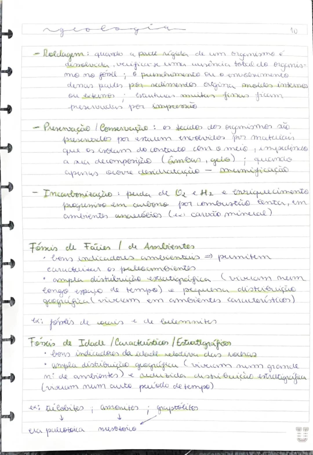 # Fóseis

- restos de seres vivos ou vestígios da sua atividade
que foram preservados de forma natural
- fornecem indicações sobre os paleoa