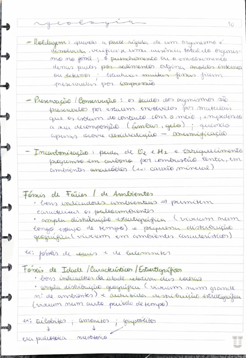 # Fóseis

- restos de seres vivos ou vestígios da sua atividade
que foram preservados de forma natural
- fornecem indicações sobre os paleoa