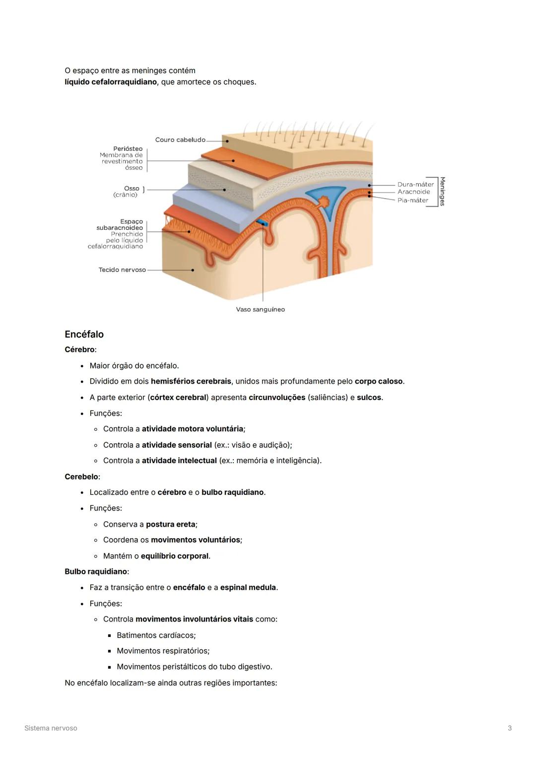 # Sistema nervoso

# Constituição do sistema nervoso
O sistema nervoso pode ser dividido no sistema nervoso central e sistema nervoso perifé