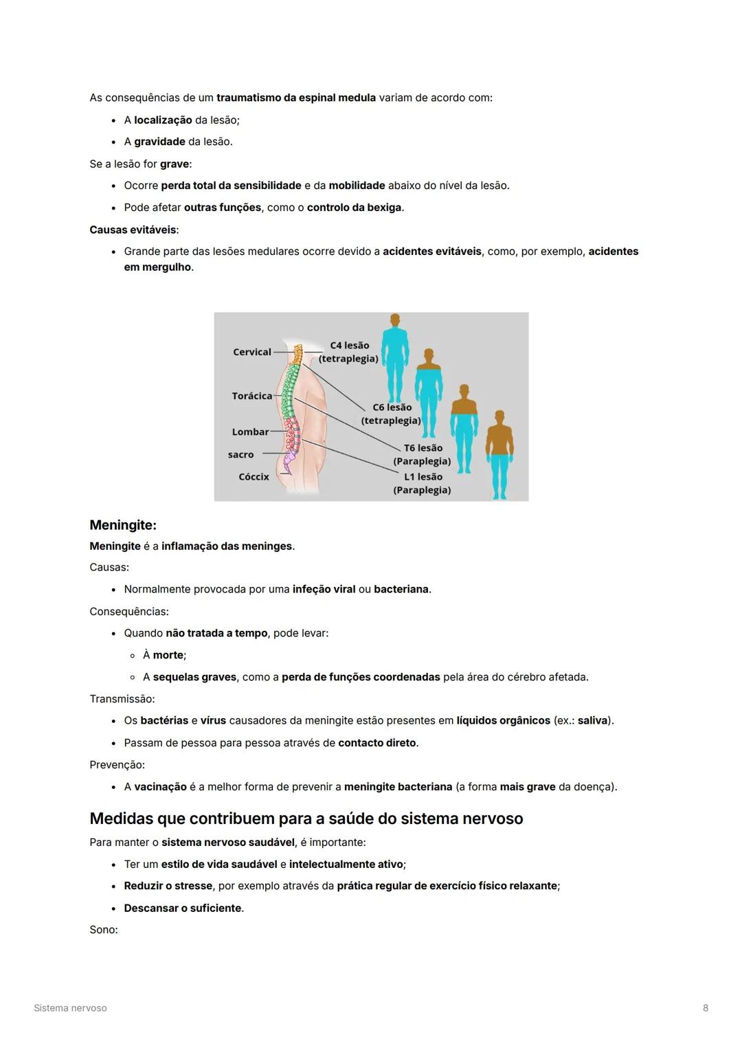 # Sistema nervoso

# Constituição do sistema nervoso
O sistema nervoso pode ser dividido no sistema nervoso central e sistema nervoso perifé
