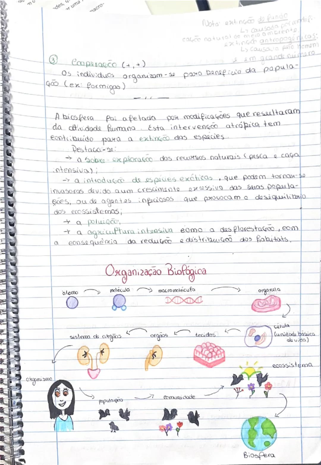--- OCR Start ---
Biologia
10º ano
①
Diversidade Biológica
Termos:
Biodiversidade: Variedade de seres vivos que existem
na Terra e as suas i