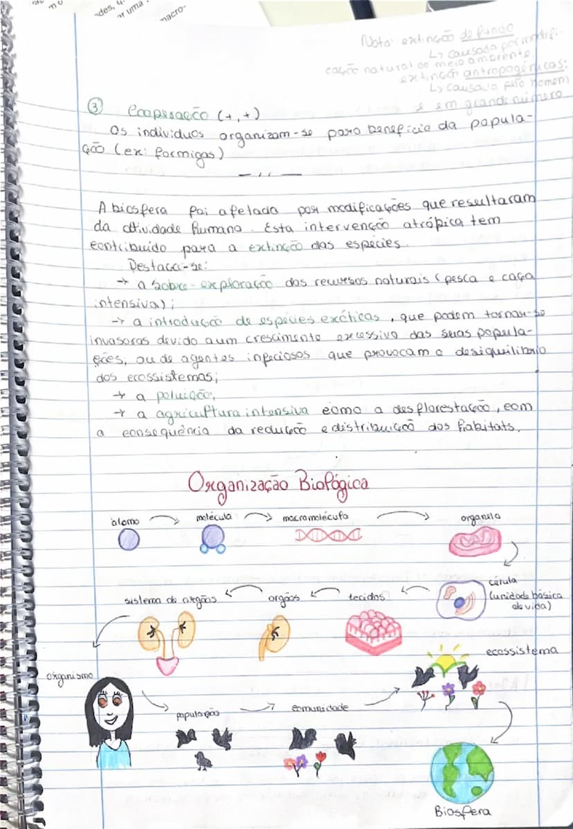 --- OCR Start ---
Biologia
10º ano
①
Diversidade Biológica
Termos:
Biodiversidade: Variedade de seres vivos que existem
na Terra e as suas i