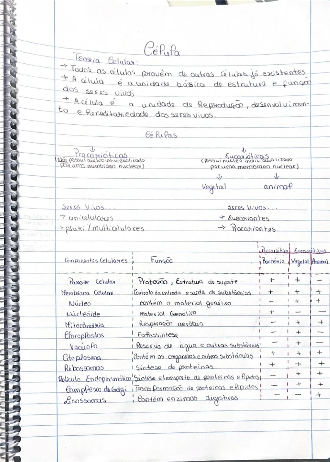 --- OCR Start ---
Biologia
10º ano
①
Diversidade Biológica
Termos:
Biodiversidade: Variedade de seres vivos que existem
na Terra e as suas i