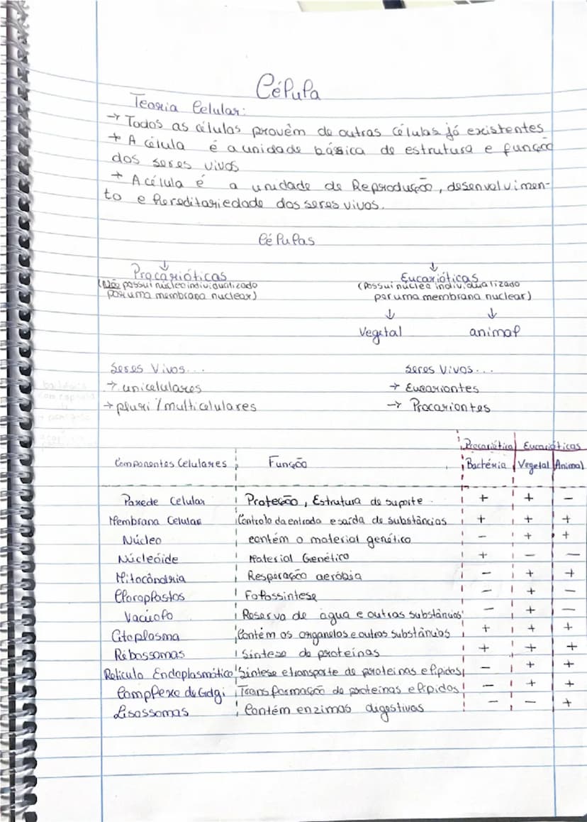--- OCR Start ---
Biologia
10º ano
①
Diversidade Biológica
Termos:
Biodiversidade: Variedade de seres vivos que existem
na Terra e as suas i