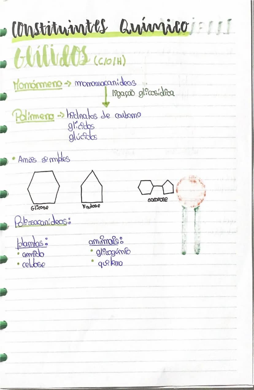 --- OCR Start ---
Constituintes QuímicojI
Glicídeos (C10/H)
Momórmeno → monossacanídeos
ligação glicosídica
Polímero → hadratos de carbono
g
