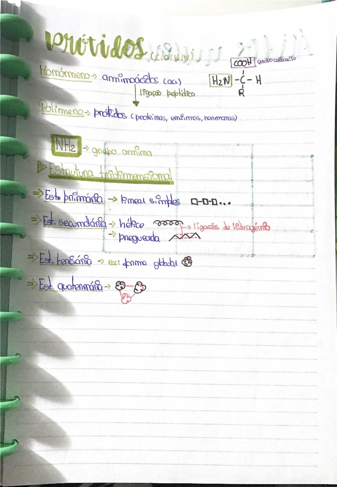 --- OCR Start ---
Constituintes QuímicojI
Glicídeos (C10/H)
Momórmeno → monossacanídeos
ligação glicosídica
Polímero → hadratos de carbono
g