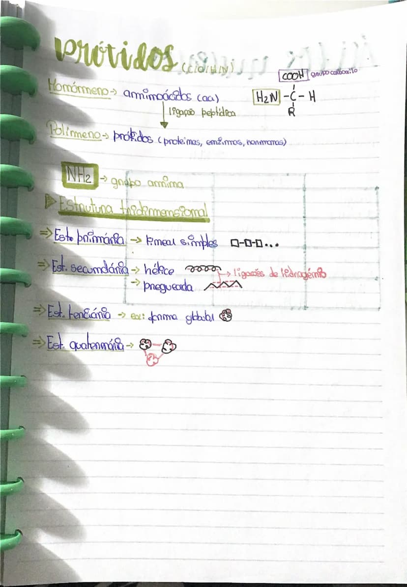 --- OCR Start ---
Constituintes QuímicojI
Glicídeos (C10/H)
Momórmeno → monossacanídeos
ligação glicosídica
Polímero → hadratos de carbono
g