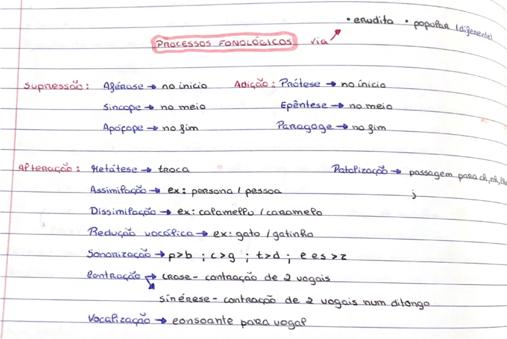 # PROCESSOS FONOLÓGICOS  via

• erudito • popóia  lijeentel

Supressão :  Afêrese → no início     Adição : Prótese → no início
Sincope → no 