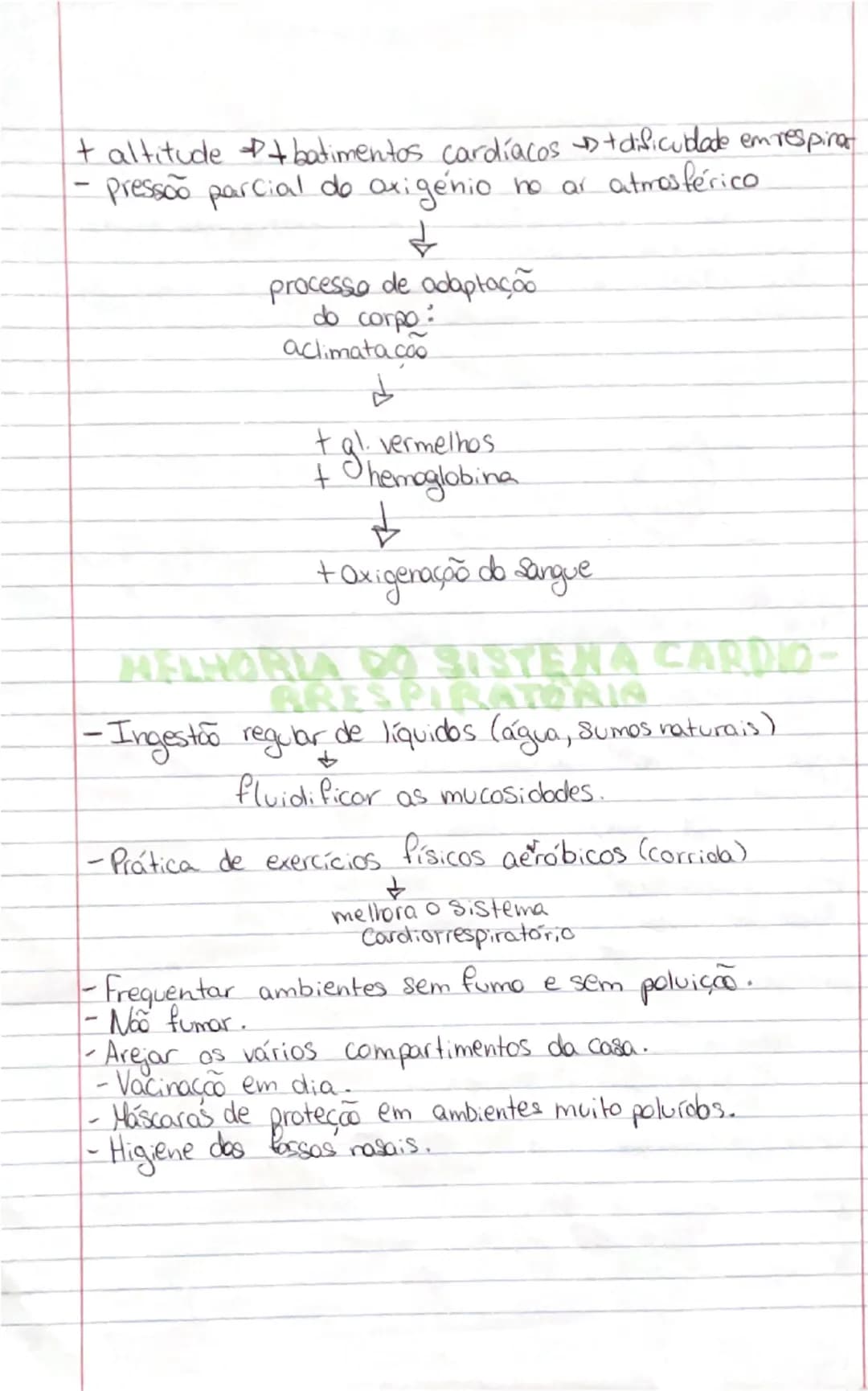 # Ciências Naturais

# SISTEMA
RESPIRATÓRIO

- **Orgãos:**
- **Pulmões:** onde se realizam as trocas gasosas entre o exterior
- **Vias respi